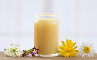 Пчелиное маточное молочко — польза и вред для человека