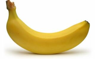Бананы: польза и вред лакомого фрукта.
