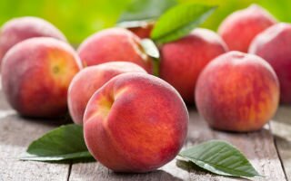 Свежие и консервированные персики — польза и вред для человека