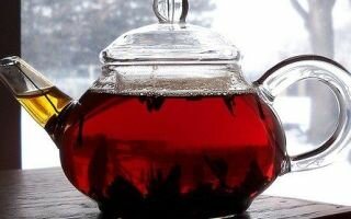 Чай: польза и вред повседневного напитка