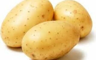 Картофель: польза и вред для организма