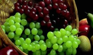 Виноград: польза и вред сладкой ягоды