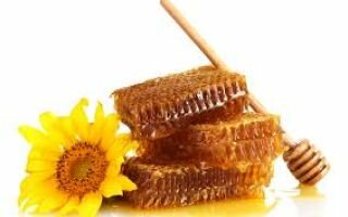 Мед в сотах — польза и вред продукта пчеловодства