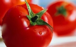 Помидоры: польза и вред сочных плодов томата
