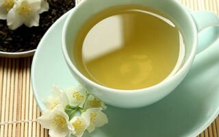 Белый чай — польза и вред древнего напитка