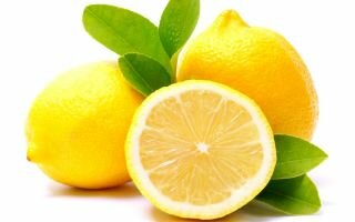 Лимон — польза и вред популярного цитруса