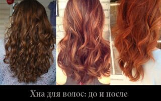 Хна для волос — польза и вред натурального красителя