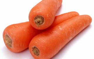 Кладезь витаминов — обычная морковка польза и вред