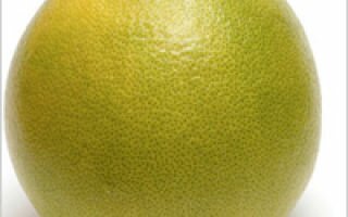 Экзотический фрукт помело — польза и вред