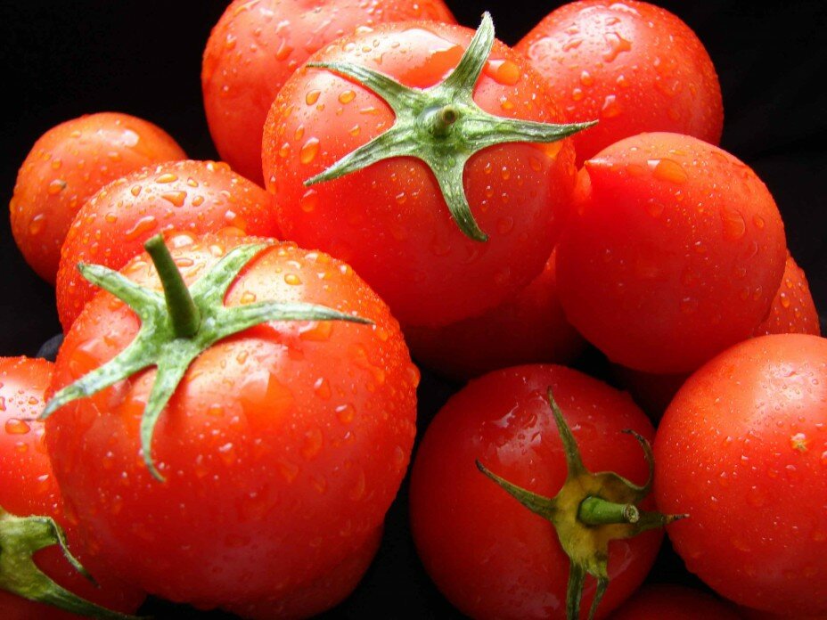 Помидоры: польза и вред сочных плодов томата