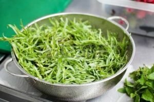 Тархун - польза и вред ароматной травы